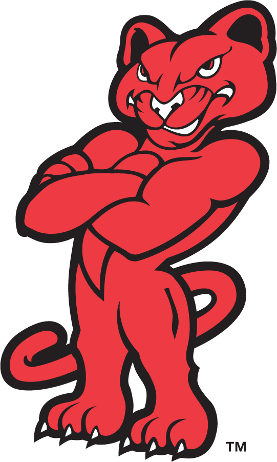 Houston Cougars 1996-2003 Mascot Logo DIY iron on transfer (heat transfer)
